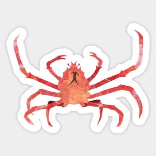 Spider crab Sticker